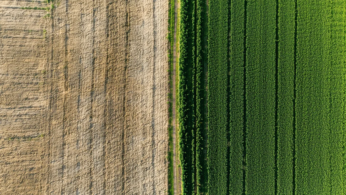 Before and after comparison of regenerative versus conventional agricultural land