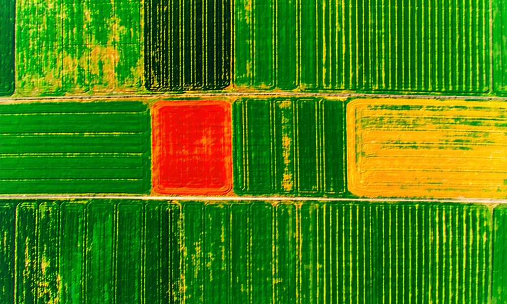 Satellite multispectral imagery of agricultural fields showing NDVI false-color bands