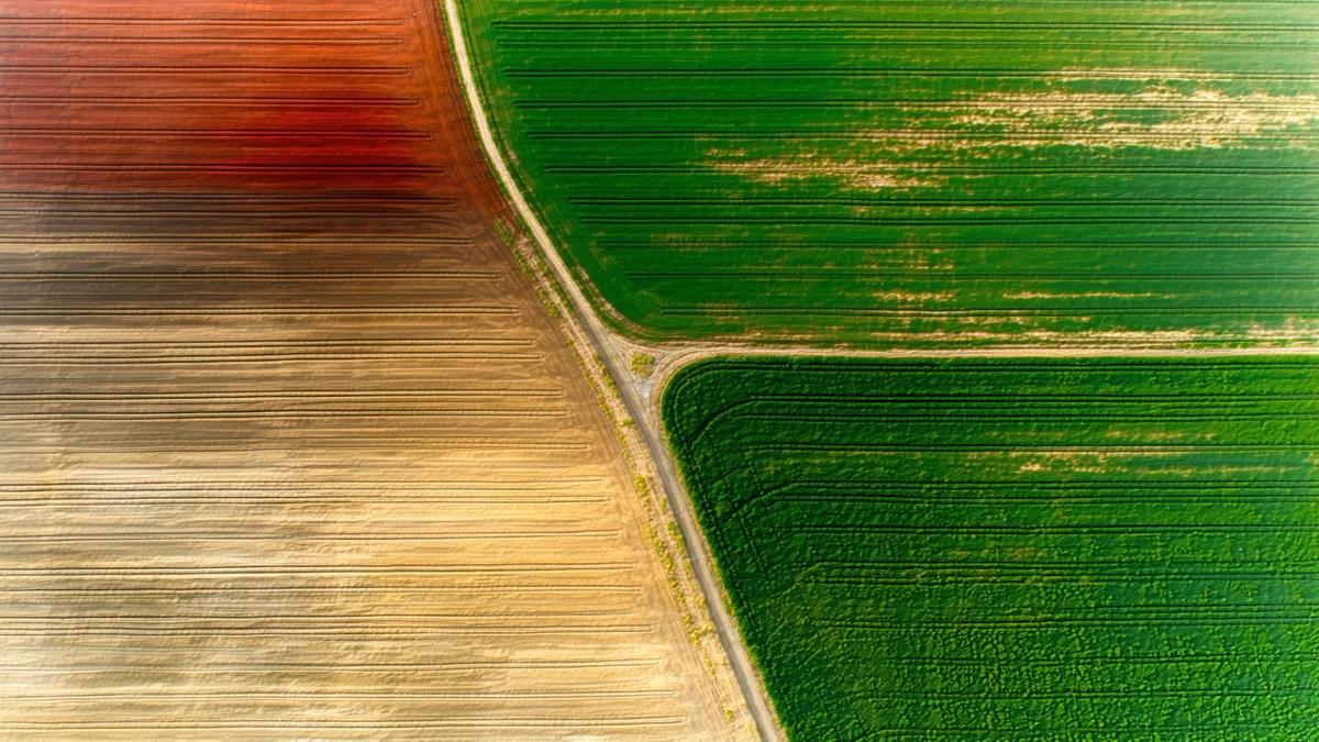 Abstract visualization of satellite remote sensing data over agricultural landscape